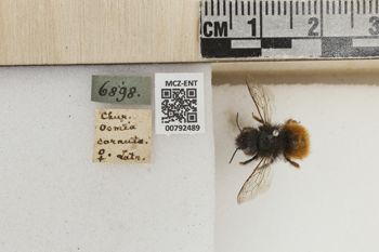 Media type: image;   Entomology 792489 Aspect: Labels
